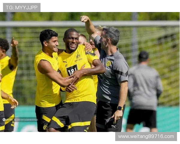 多特蒙德新援开启体检引发关注